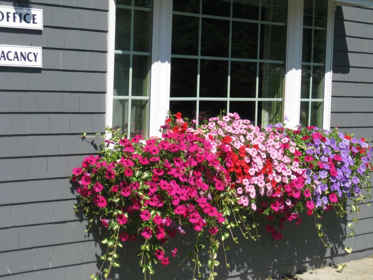 Mid-Town Motel Boothbay Harbor Exterior foto